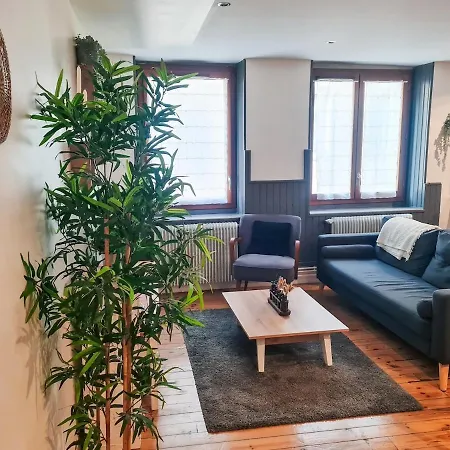 Appartement Grand 3 Saint-Etienne (Loire)